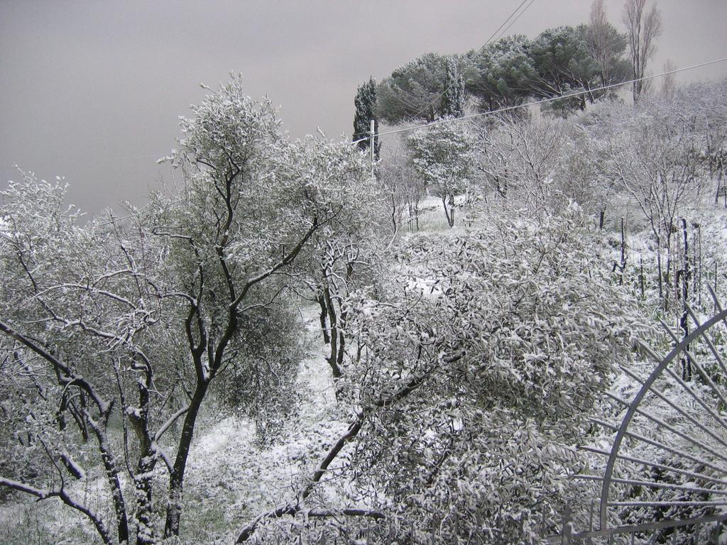 Bed and breakfast Mare E Monti